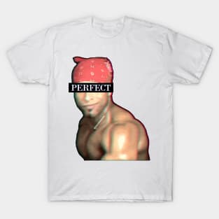 Ricardo Milos Perfect T-Shirt